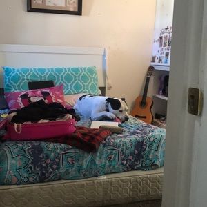 Meet your Posher, Brandy